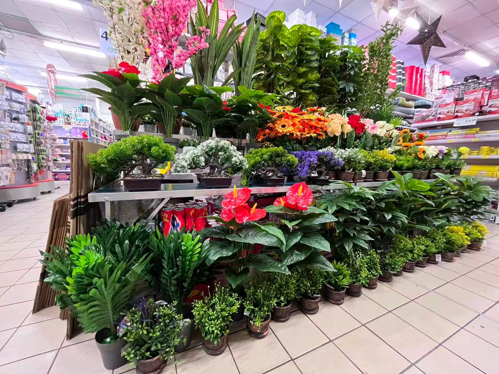 Piante e fiori decorativi esposti in negozio